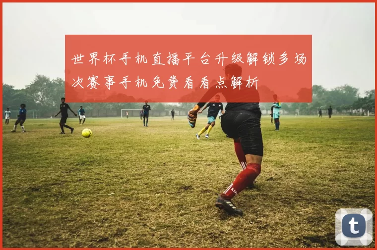世界杯手机直播平台升级解锁多场次赛事手机免费看看点解析