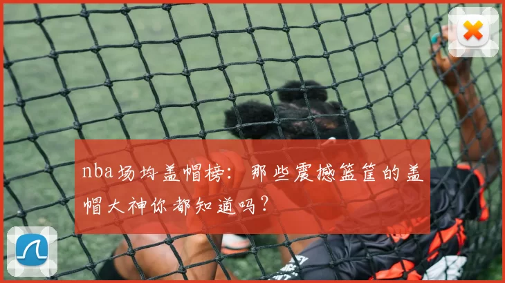 nba场均盖帽榜：那些震撼篮筐的盖帽大神你都知道吗？