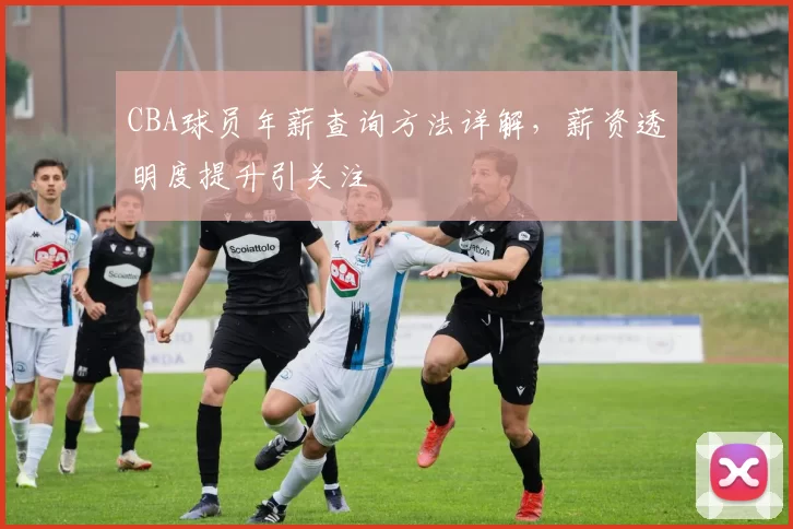 CBA球员年薪查询方法详解,薪资透明度提升引关注